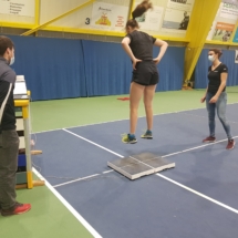 Sprungplattentest Sprungplattentest